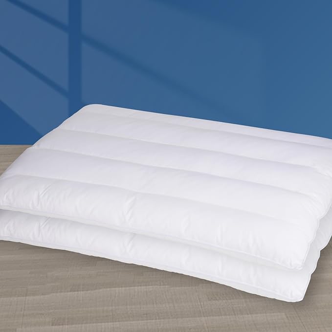 MINUPWELL 2 Packs Ultra Flat Pillows for Sleeping Thin, 7D High Support 2.5 inch Height Ultra Thin Pillows,Slim Bed Pillows for Stomach Sleeper,Queen Size -18x30 in