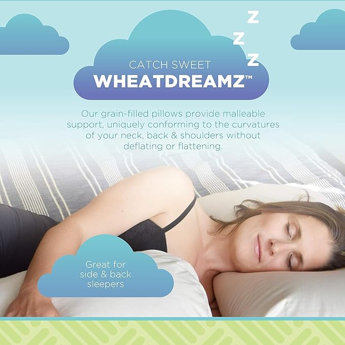 Bean Products 13" x 18" Travel Bed Pillow for Sleeping – Organic Millet Fill with Organic Cotton Fabric, Soft Toddler Head Pillow – Eco-Friendly, Breathable, and Durable Sleep Aid, Made in The USA