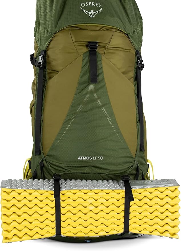 Osprey Atmos AG LT 50L Men's Backpacking Backpack, Scenic Valley/Green Peppercorn, L/XL