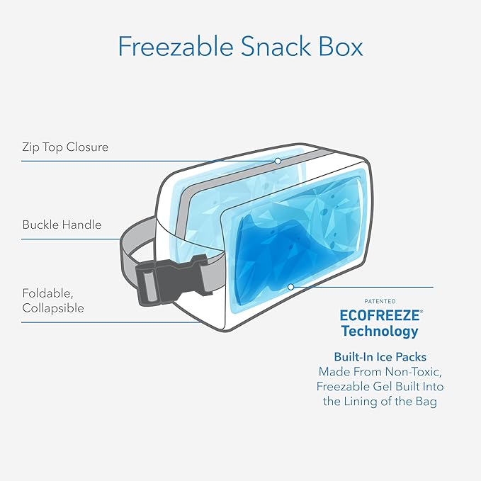 PackIt Freezable Snack Box, Lavender, Built with ECOFREEZE Technology, Collapsible, Reusable, Zip Closure with Buckle Handle, Designed For Work Snacks, Fresh Snacks On the Go, Adults, and All Ages