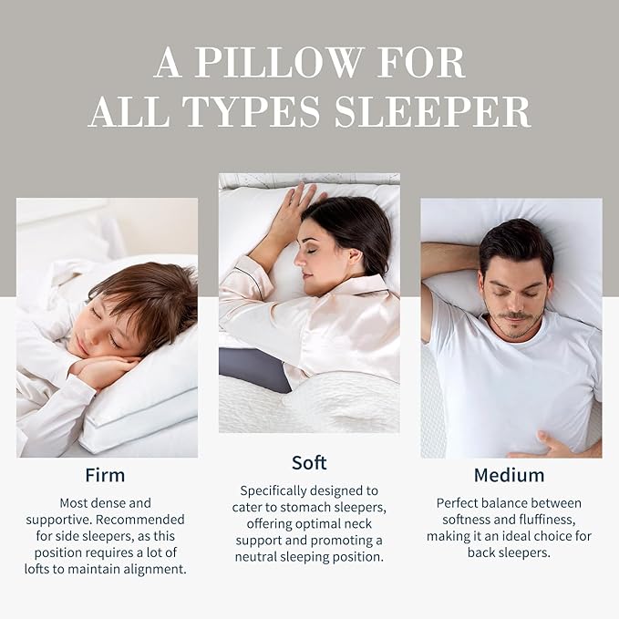 Globon Luxury Feather Down Pillow Standard Queen Size for Sleeping, Hotel Collection Fluffy Pillow, Low Soft Gusseted Bed Pillows, 18"X26", Pack of 1