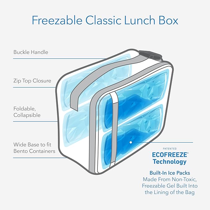 PackIt Freezable Classic Lunch Box, Magenta, Built with ECOFREEZE Technology, Collapsible, Reusable, Zip Closure With Zip Front Pocket and Buckle Handle, Designed for Fresh Lunch On the Go