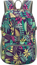 WATERFLY Hiking Foldable Daypack Backpack: 25L Ultra Lightweight Packable Waterproof Outdoor Travel Day Pack for Woman Man